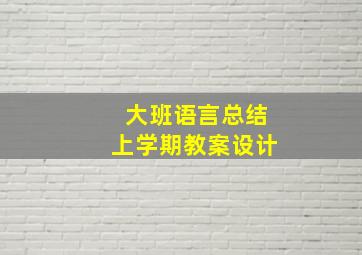 大班语言总结上学期教案设计