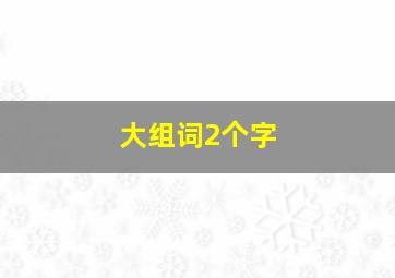 大组词2个字