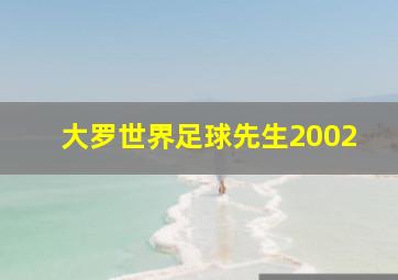 大罗世界足球先生2002