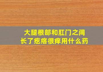 大腿根部和肛门之间长了疙瘩很痒用什么药