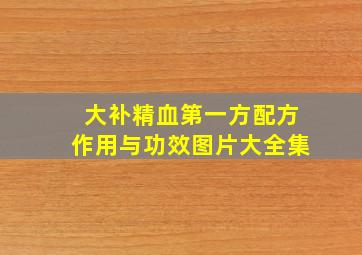 大补精血第一方配方作用与功效图片大全集