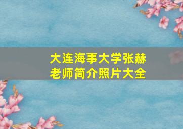 大连海事大学张赫老师简介照片大全