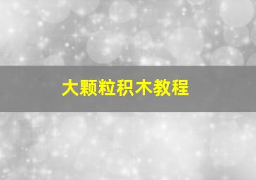 大颗粒积木教程