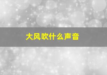 大风吹什么声音