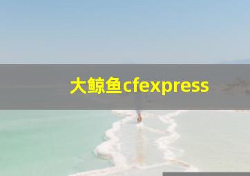 大鲸鱼cfexpress