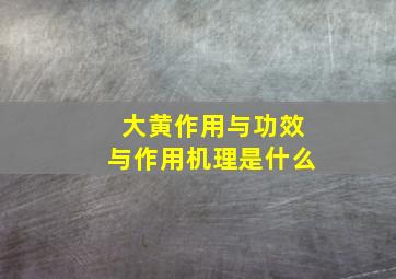 大黄作用与功效与作用机理是什么