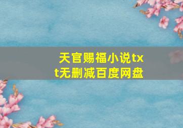 天官赐福小说txt无删减百度网盘