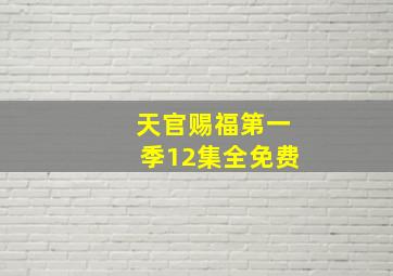 天官赐福第一季12集全免费