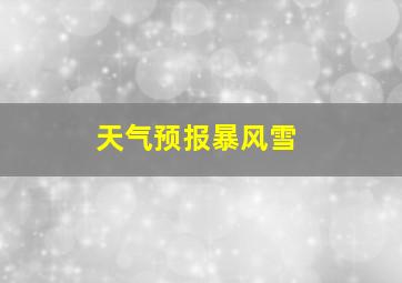 天气预报暴风雪