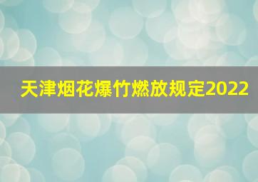 天津烟花爆竹燃放规定2022