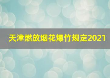 天津燃放烟花爆竹规定2021