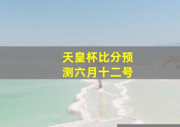 天皇杯比分预测六月十二号