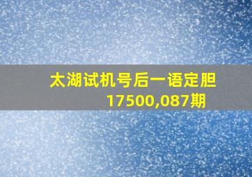 太湖试机号后一语定胆17500,087期