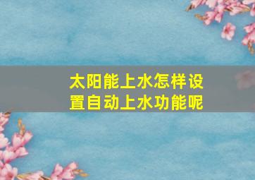 太阳能上水怎样设置自动上水功能呢