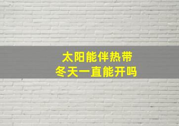 太阳能伴热带冬天一直能开吗