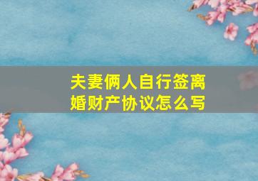 夫妻俩人自行签离婚财产协议怎么写