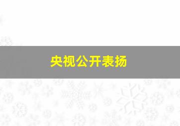 央视公开表扬