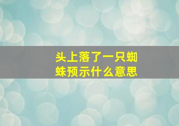 头上落了一只蜘蛛预示什么意思