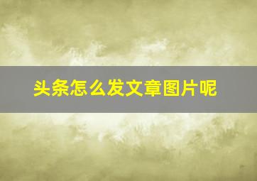 头条怎么发文章图片呢