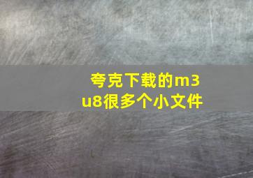 夸克下载的m3u8很多个小文件