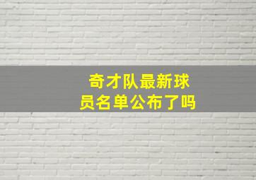 奇才队最新球员名单公布了吗