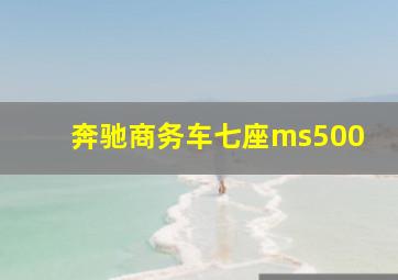 奔驰商务车七座ms500