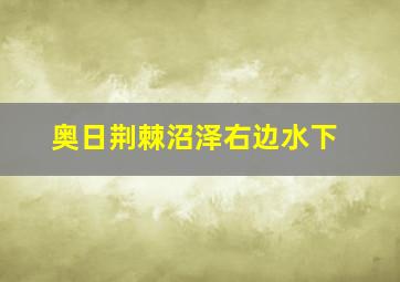 奥日荆棘沼泽右边水下