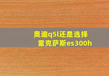 奥迪q5l还是选择雷克萨斯es300h