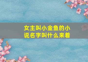 女主叫小金鱼的小说名字叫什么来着