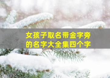 女孩子取名带金字旁的名字大全集四个字