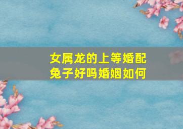 女属龙的上等婚配兔子好吗婚姻如何