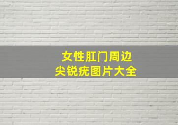 女性肛门周边尖锐疣图片大全