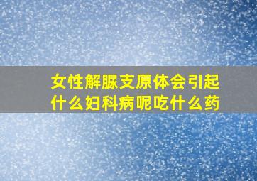 女性解脲支原体会引起什么妇科病呢吃什么药