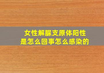 女性解脲支原体阳性是怎么回事怎么感染的