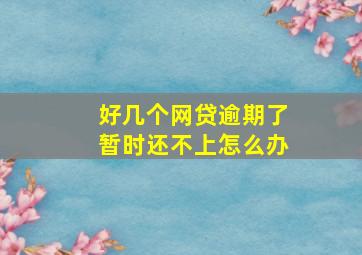 好几个网贷逾期了暂时还不上怎么办