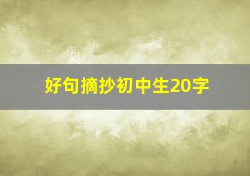 好句摘抄初中生20字