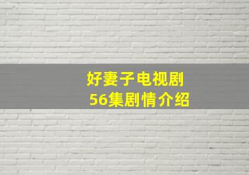 好妻子电视剧56集剧情介绍