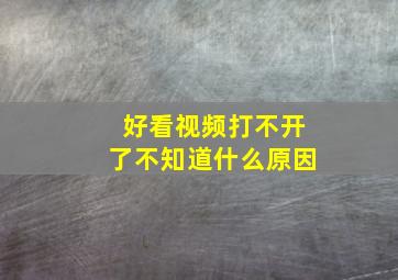 好看视频打不开了不知道什么原因