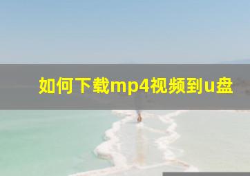 如何下载mp4视频到u盘