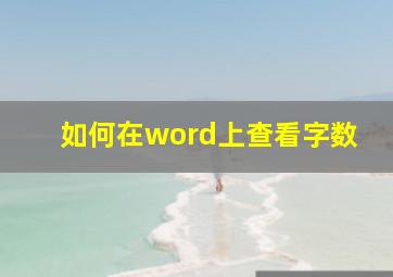 如何在word上查看字数