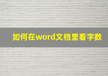 如何在word文档里看字数