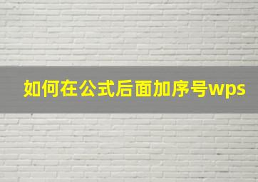 如何在公式后面加序号wps