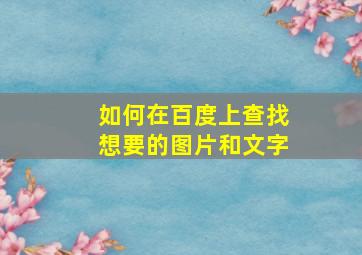 如何在百度上查找想要的图片和文字