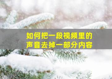 如何把一段视频里的声音去掉一部分内容