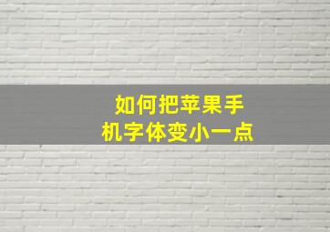 如何把苹果手机字体变小一点