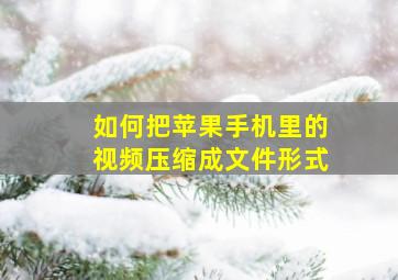 如何把苹果手机里的视频压缩成文件形式