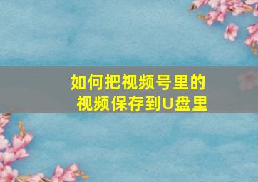 如何把视频号里的视频保存到U盘里