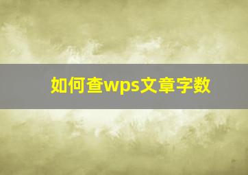 如何查wps文章字数