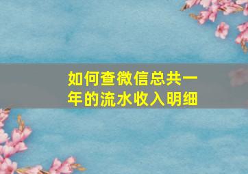 如何查微信总共一年的流水收入明细