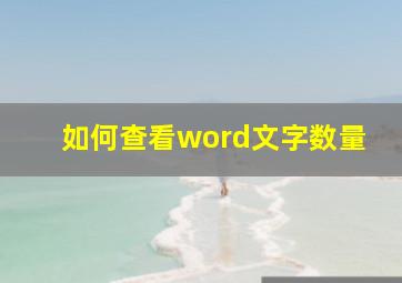 如何查看word文字数量